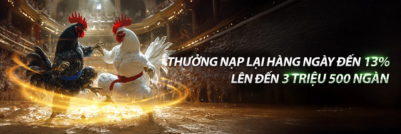 Sân đá gà trực tiếp sôi động trên GA88 Link Vào